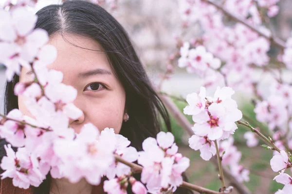 Kiraz çiçekleri tarafından kısmen saklanmış Asyalı bir kadının portresi. Görüntü editoryal ya da ticari olarak kullanılabilir.