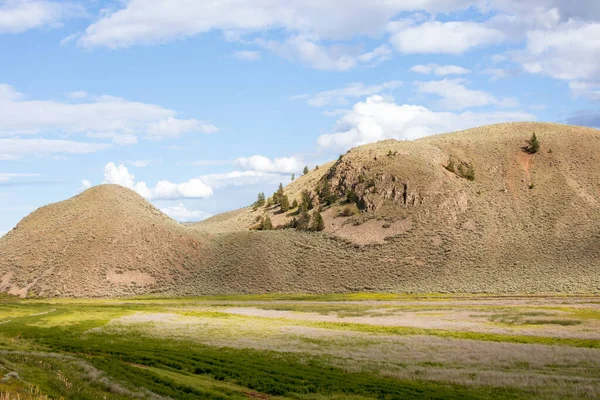 Thompson-Okanagan 'da mavi gökyüzü olan dağ manzarası. Görüntü editoryal ya da ticari olarak kullanılabilir.