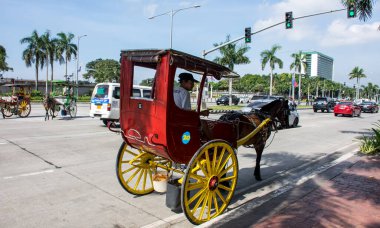 Manila, Filipinler - 27 Aralık 2016: Kalesa (At Arabası) Rizal Park 'ta