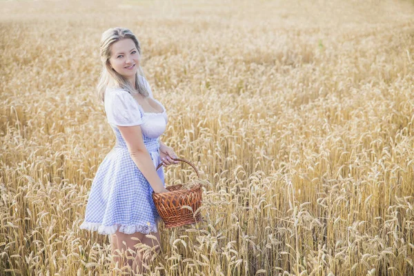 Çekici Sarışın Tarlada Bir Sepet Içinde Buğday Topluyor — Stok fotoğraf
