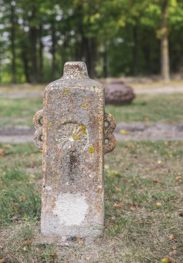 Antik beton vazo parkta duruyor.