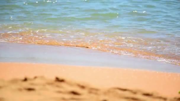 Peisajul Locului Călătorie Natura Plajă Galbenă Marea Albastră Tropicală Lumină — Videoclip de stoc