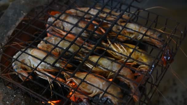 用木炭烤的烤的虾 巨型淡水虾 — 图库视频影像