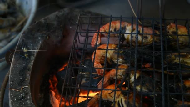 Grillade Räkor Jätte Sötvatten Räkor Grillning Med Kol — Stockvideo