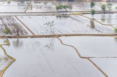 Asya bir tarım manzara doğa pirinç çeltik küreği için bir toprak tarım ile çamurlu sahada ise