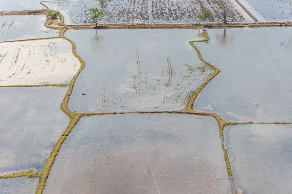 Asya bir tarım manzara doğa pirinç çeltik küreği için bir toprak tarım ile çamurlu sahada ise