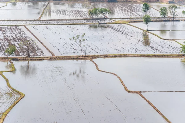 Asya bir tarım manzara doğa pirinç çeltik küreği için bir toprak tarım ile çamurlu sahada ise