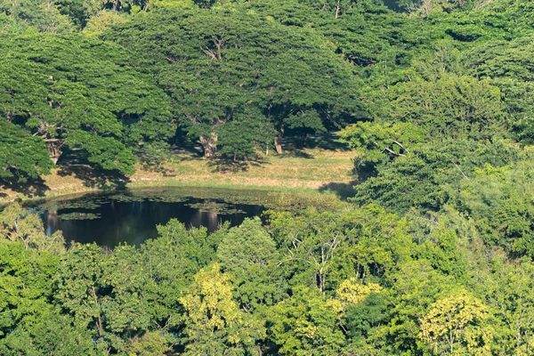 Paisaje Vista Aérea Del Campo Golf Para Golfistas Con Césped —  Fotos de Stock