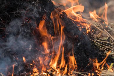 Yangın ve yanan kuru ot yapmak bir alevle tarım ve çevre için tehlike duman ve yangın felâketi neden