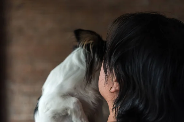 Asian woman and dog happy hugging her pat is a dog so cute  chihuahua breed