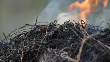 Yangın ve yanan kuru ot yapmak bir alevle tarım ve çevre için tehlike duman ve yangın felâketi neden