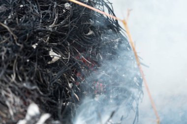 Yangın ve yanan kuru ot yapmak bir alevle tarım ve çevre için tehlike duman ve yangın felâketi neden