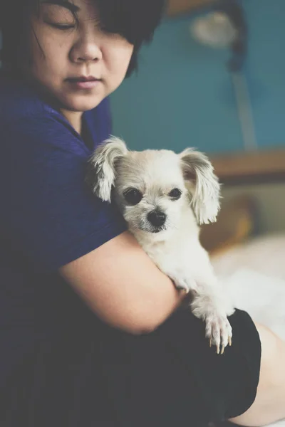 Asian woman and dog happy smile hugging her pat is a dog so cute mixed breed with Shih-Tzu, Pomeranian and Poodle on bed with white veil in bedroom at home or hotel