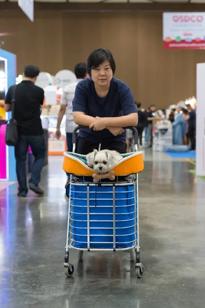 Asian woman and the dog in exhibit hall or expo — Stock Photo, Image