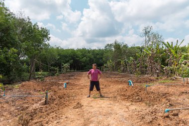 Durian fide veya fidan durian meyve kralı