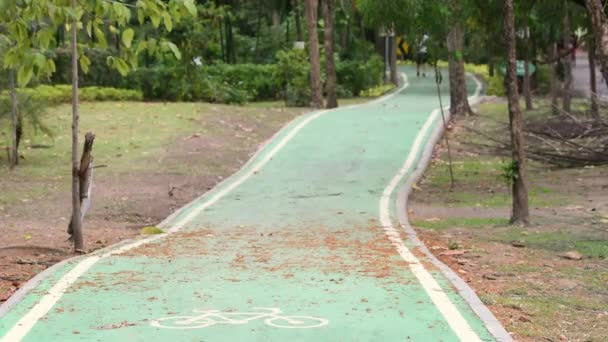 Pessoas Jogger Correr Correr Pista Estrada Ciclovia Parque Livre Para — Vídeo de Stock