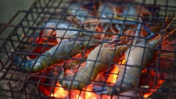 Gegrillte Garnelen Riesengarnelen Grillen Mit Holzkohle Zum Verkauf Auf Dem — Stockvideo