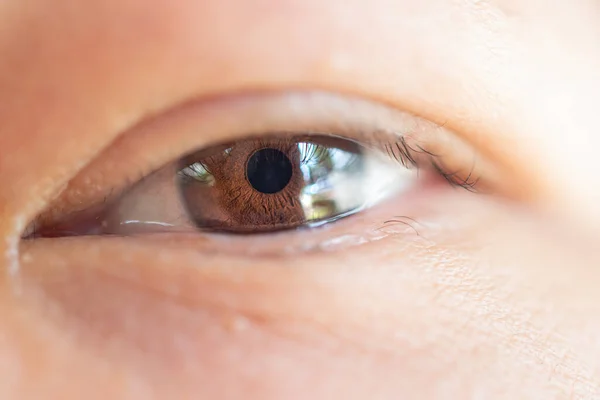 Macro of eye or eyeball black color of asian woman with eyebrow, eyelash and eyelid in concept eye health and vision in life