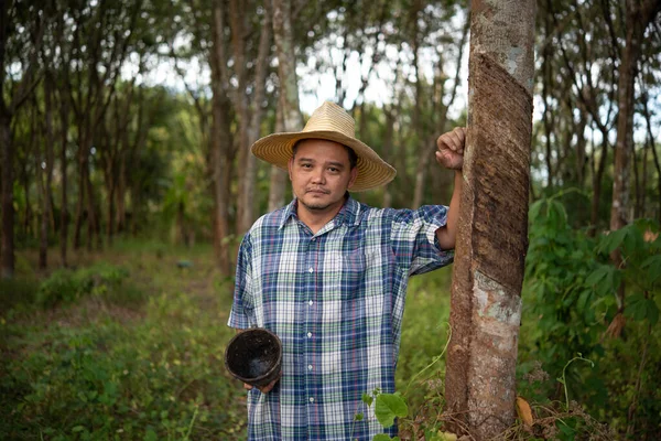 Agricoltore Asiatico Infelice Dalla Produttività Basso Rendimento Piantagione Alberi Gomma — Foto Stock