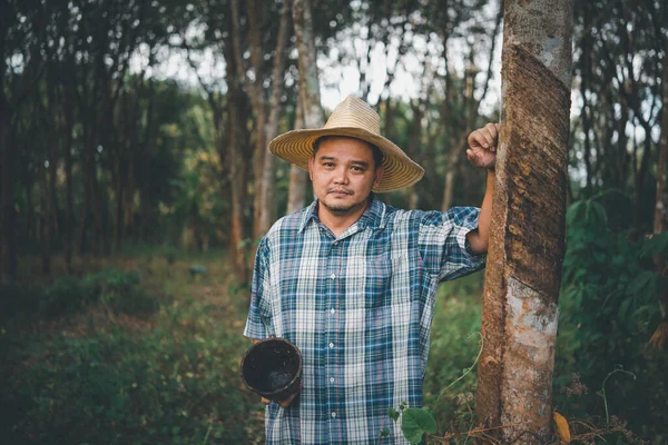 Agricoltore Asiatico Infelice Dalla Produttività Basso Rendimento Piantagione Alberi Gomma — Foto Stock