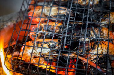 Izgara karides (Dev tatlı su karidesi) Bangkok Tayland 'da Tayland sokak gıda pazarında ya da restoranda mangal kömürü satışı