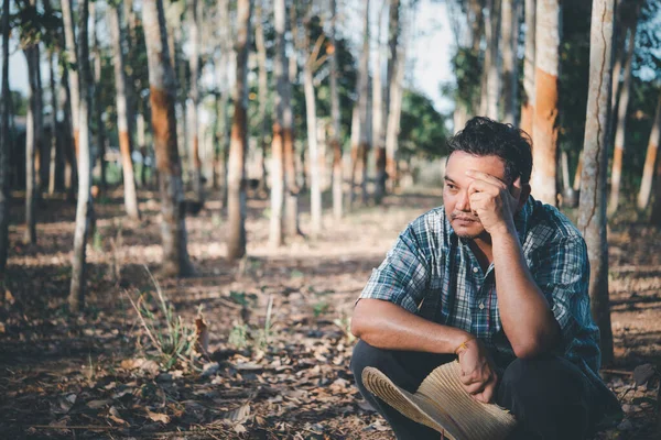 Homme Asiatique Agriculteur Agriculteur Malheureux Faible Productivité Plantation Arbres Caoutchouc — Photo