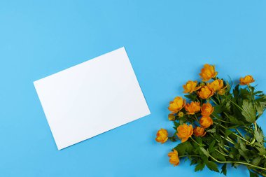 Trollius europaeus, yerçiçeği, foto çerçeveli güzel sarı ranunculus buketi ya da metin için boş kart. Üst görünüm.