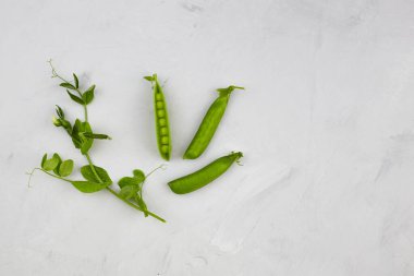  Fotokopi alanı olan gri bir zemin üzerinde taze bezelye kabukları. Üst görünüm.