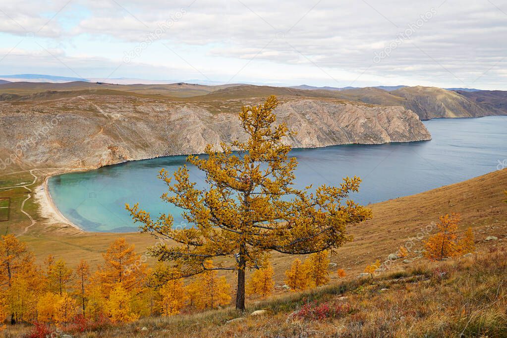 Autumn landscape with beautiful yellowed trees on the shore of lake Baikal. The Aya Bay, Russia.