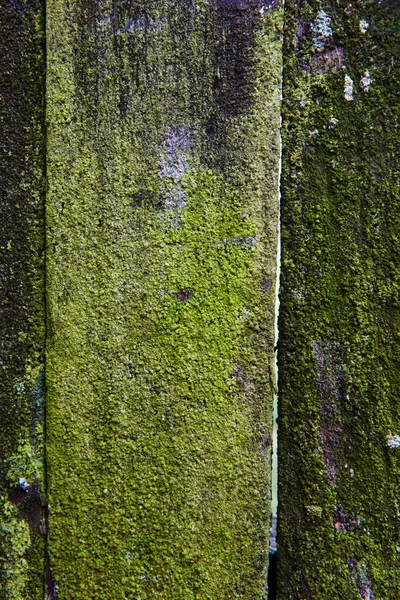 Pranchas Madeira Close Textura Madeira Bonita — Fotografia de Stock