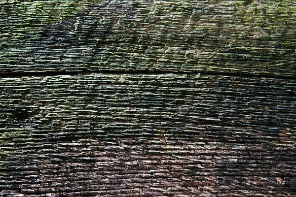 木板特写 美丽的木材纹理 — 图库照片