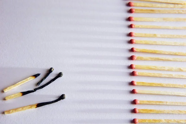 burned matches on a white background, a bunch of matches. and long shadows