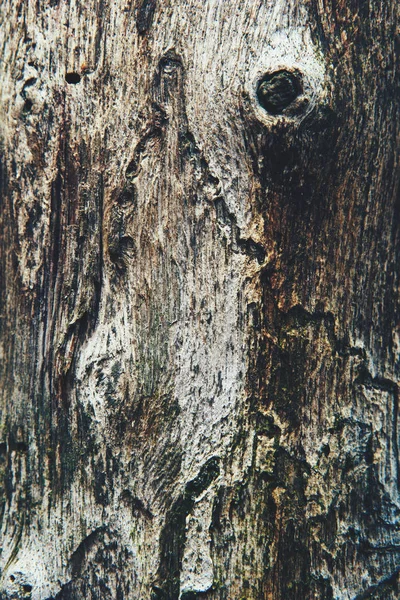 Tablones Madera Primer Plano Textura Madera Hermosa — Foto de Stock