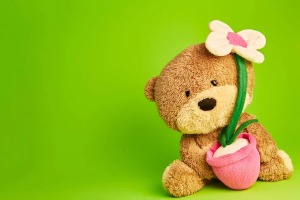 Toy bears — Stock Photo, Image