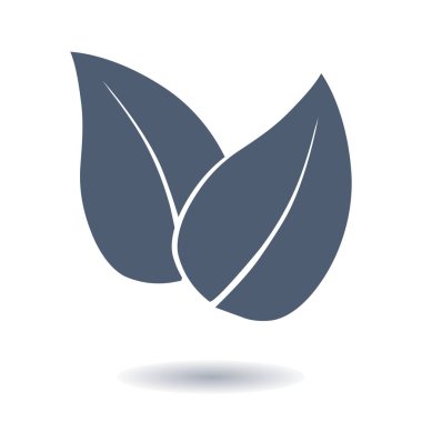 Yaprak simgesi. Taze doğal ürün simgesi. Organik ürün işareti. Düz tasarım stili.