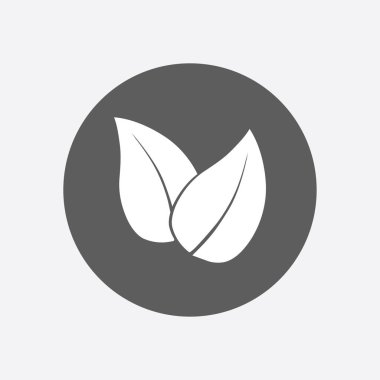 Yaprak simgesi. Taze doğal ürün simgesi. Organik ürün işareti. Düz tasarım stili.