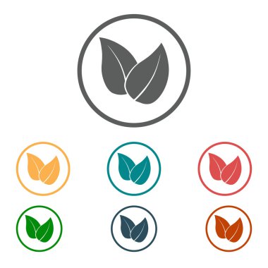 Yaprak simgesi. Taze doğal ürün simgesi. Organik ürün işareti. Düz tasarım stili.