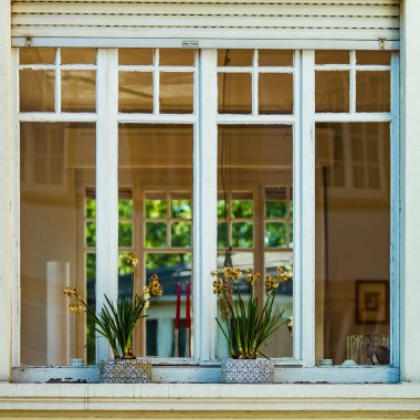 Güzel yaşlı pencere eşiği Strazburg'un tarihi merkezi mimari detaylar