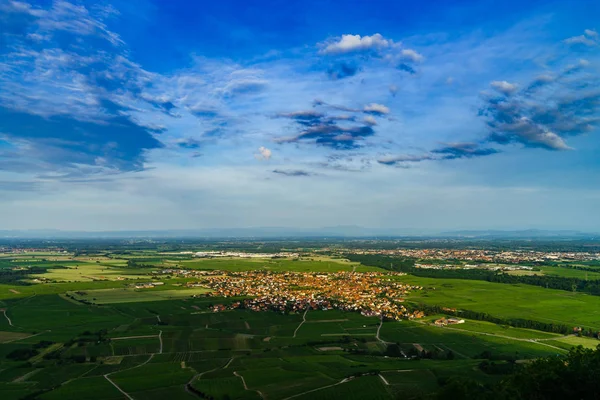 Little Alsacien Village Scherwiller Green Vineyards Aerial View Summer Time — Stock Photo, Image