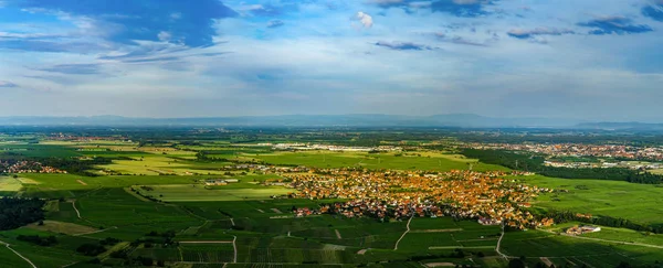 Geniş hava yüksek çözünürlüklü panoramik görüntüsü üzerinde üzüm bağları, Alsace, Fransa yeşil Vadisi günbatımı