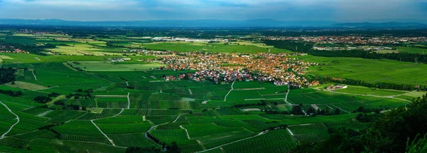 Amplia Vista Panorámica Aérea Alta Resolución Del Atardecer Sobre Verde —  Fotos de Stock