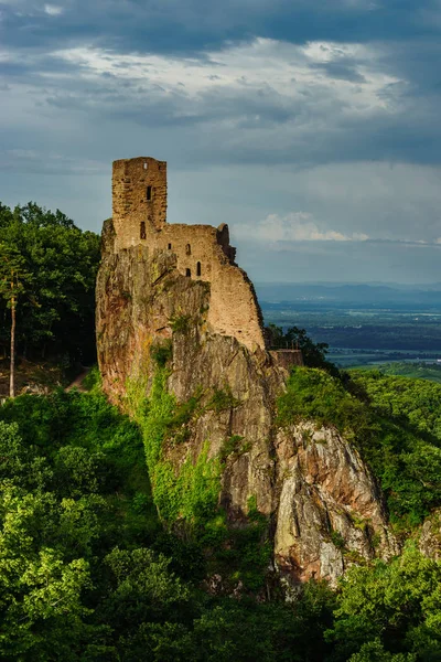 Ruins Medieval Castle Girsberg Top Stone Rock Alsace France — Stock Photo, Image