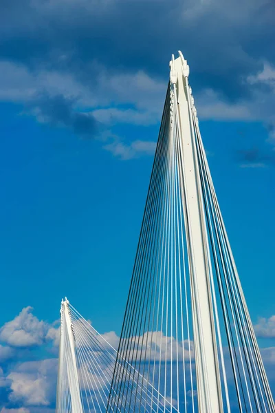 Mooie Voetgangersbrug Tussen Frankrijk Duitsland Kehl Straatsburg — Stockfoto