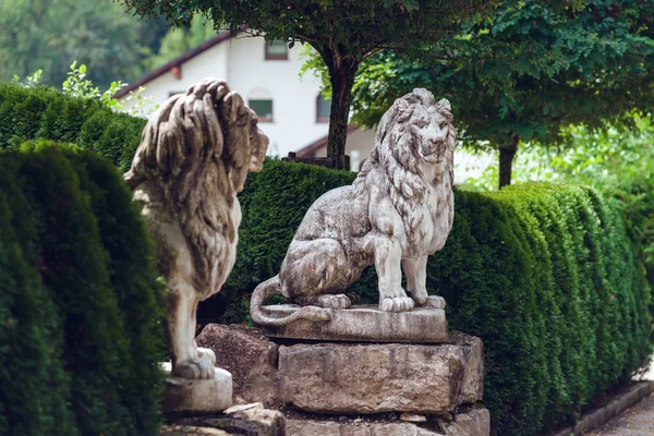 Deux Sculpteurs Lion Près Entrée Maison Été — Photo