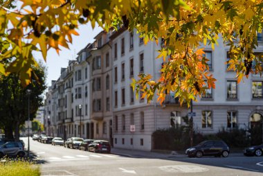 Sonbaharda Strasbourg şehir, güneş ışığı ve renkler, cadde görünümü, Fransa