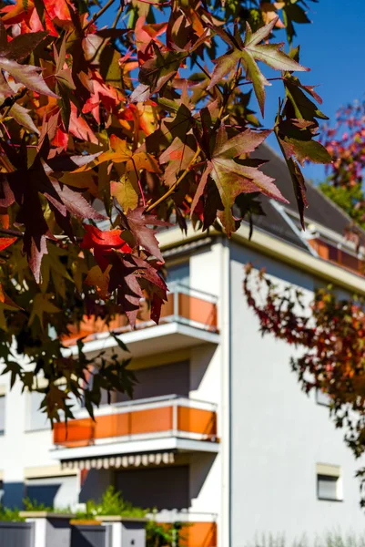 Slunečný Podzim Městě Dům Balkonem Štrasburk — Stock fotografie