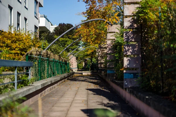 Outono Cidade Estrasburgo Luz Solar Cores Vista Rua França — Fotografia de Stock