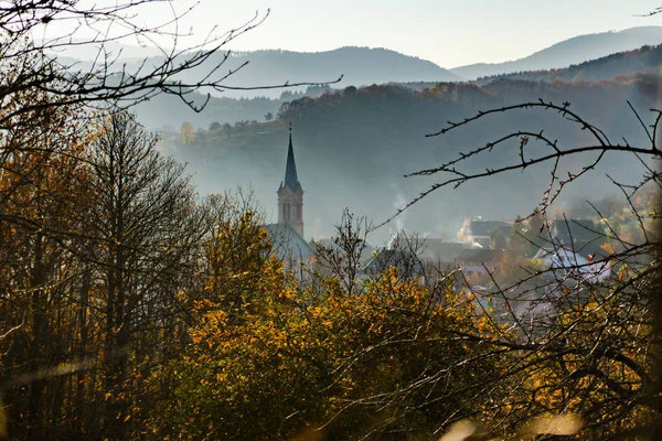 Herfst Kleuren Van Natuur Elzas Kleurrijke Bladeren Fgorests Frankrijk — Stockfoto