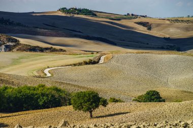 Sonbahar İtalya. İlginç gölgeler ve çizgili sarı sürülmüş hills Toskana. Tarım kavramı manzara.