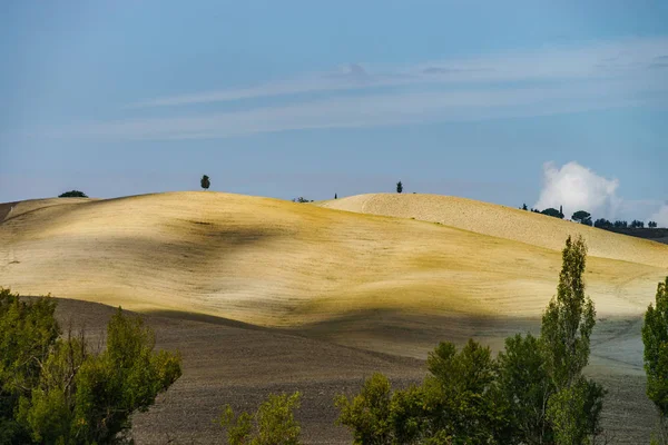 Outono Itália Colinas Aradas Amarelas Toscana Com Sombras Linhas Interessantes — Fotografia de Stock